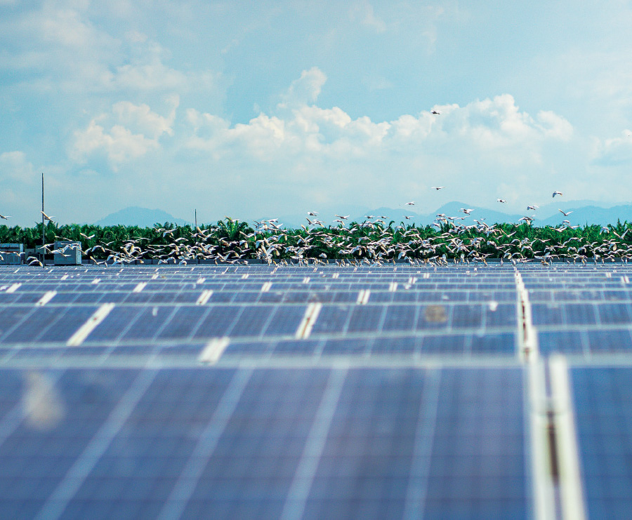 SD Guthrie sees climate change as material risk | KLSE Screener